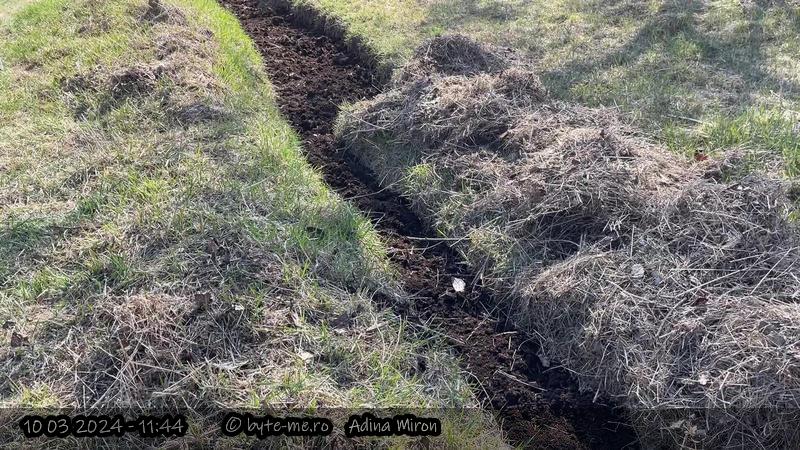 Mranita in stratul cu sparanghel